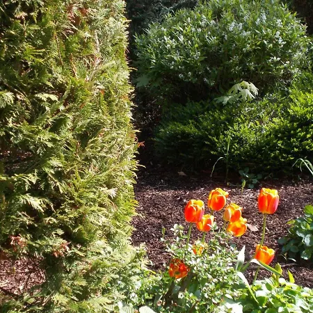 Apartmán Weimarglueck