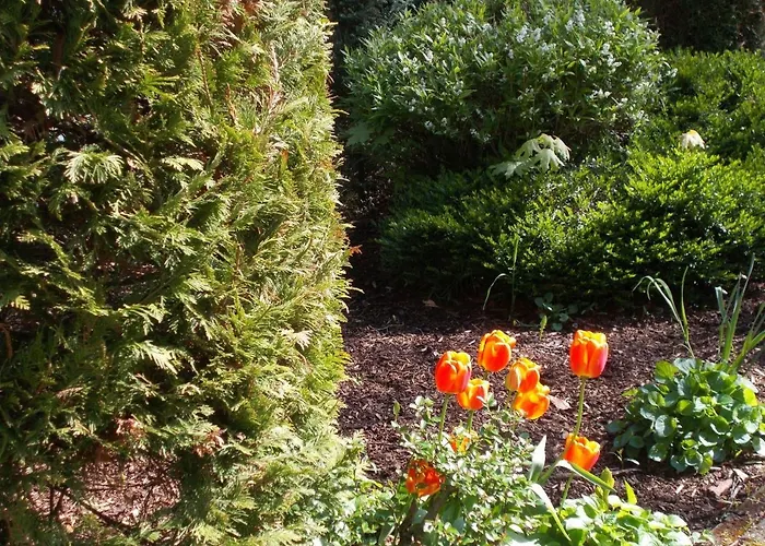 Apartmán Weimarglueck